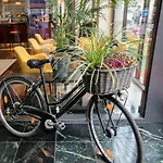 Arcotel Velvet Hotel 4*