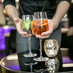 Hotel Arcotel Velvet 4*